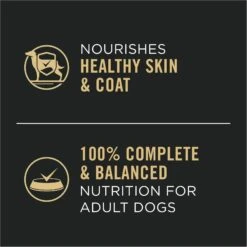 Purina Pro Plan Complete Essentials Entrees Wet Dog Food Variety Pack -Blue Buffalo Shop 141297 PT4. AC SS1800 V1671813832