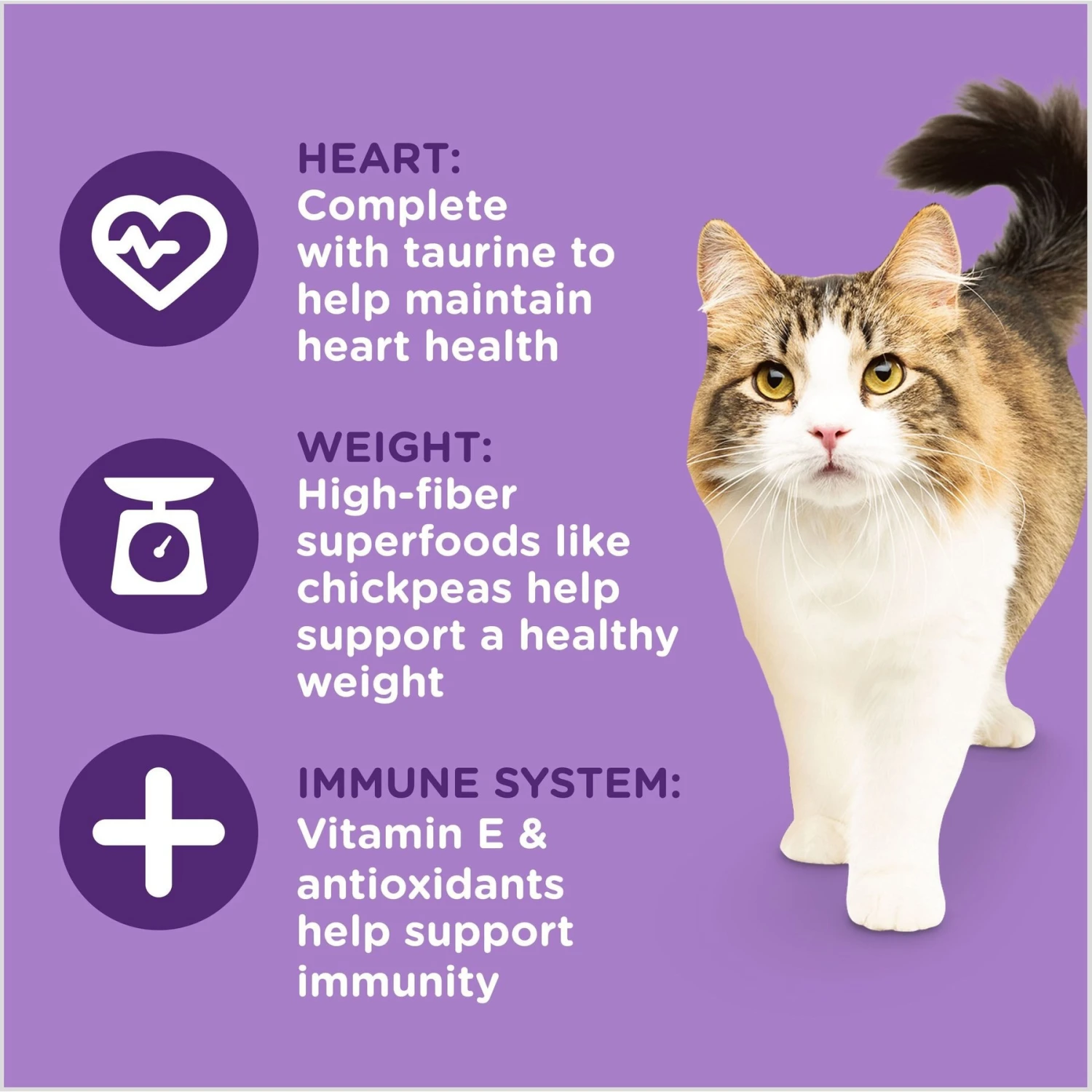 Rachael Ray Nutrish Longevity Natural Chicken With Chickpeas & Salmon Recipe Dry Cat Food 7 Rachael Ray Nutrish Longevity Natural Chicken With Chickpeas & Salmon Recipe Dry Cat Food - Image 5