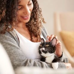 Rachael Ray Nutrish Longevity Natural Chicken With Chickpeas & Salmon Recipe Dry Cat Food 16 Rachael Ray Nutrish Longevity Natural Chicken With Chickpeas & Salmon Recipe Dry Cat Food -Blue Buffalo Shop 141825 PT5. AC SS1800 V1691761239