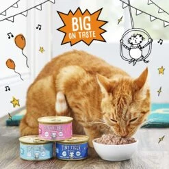 Tiny Tiger Pate Whitefish & Tuna Recipe Grain-Free Canned Cat Food -Blue Buffalo Shop 141883 PT4. AC SS1800 V1687286231