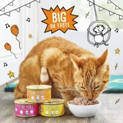 Tiny Tiger Pate Beef & Poultry Recipes Variety Pack Grain-Free Canned Cat Food -Blue Buffalo Shop 141887 PT4. AC SS1800 V1687284405