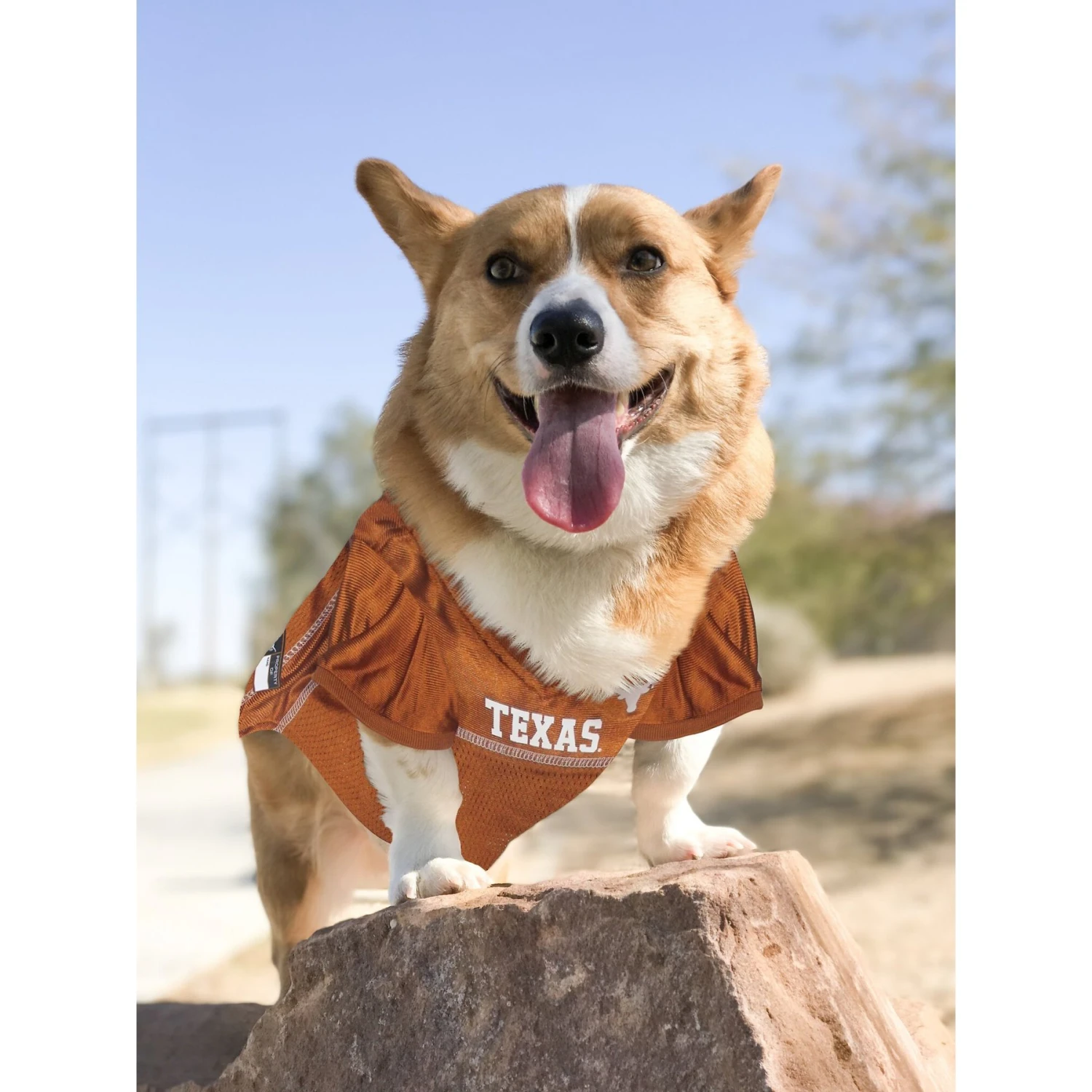 Pets First NCAA Dog & Cat Jersey, Texas Longhorns 7 Pets First NCAA Dog & Cat Jersey, Texas Longhorns - Image 5