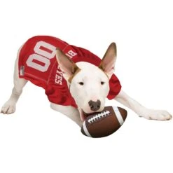 Pets First NCAA Dog & Cat Jersey, Ohio State Buckeyes -Blue Buffalo Shop 142138 PT4. AC SS1800 V1538435585