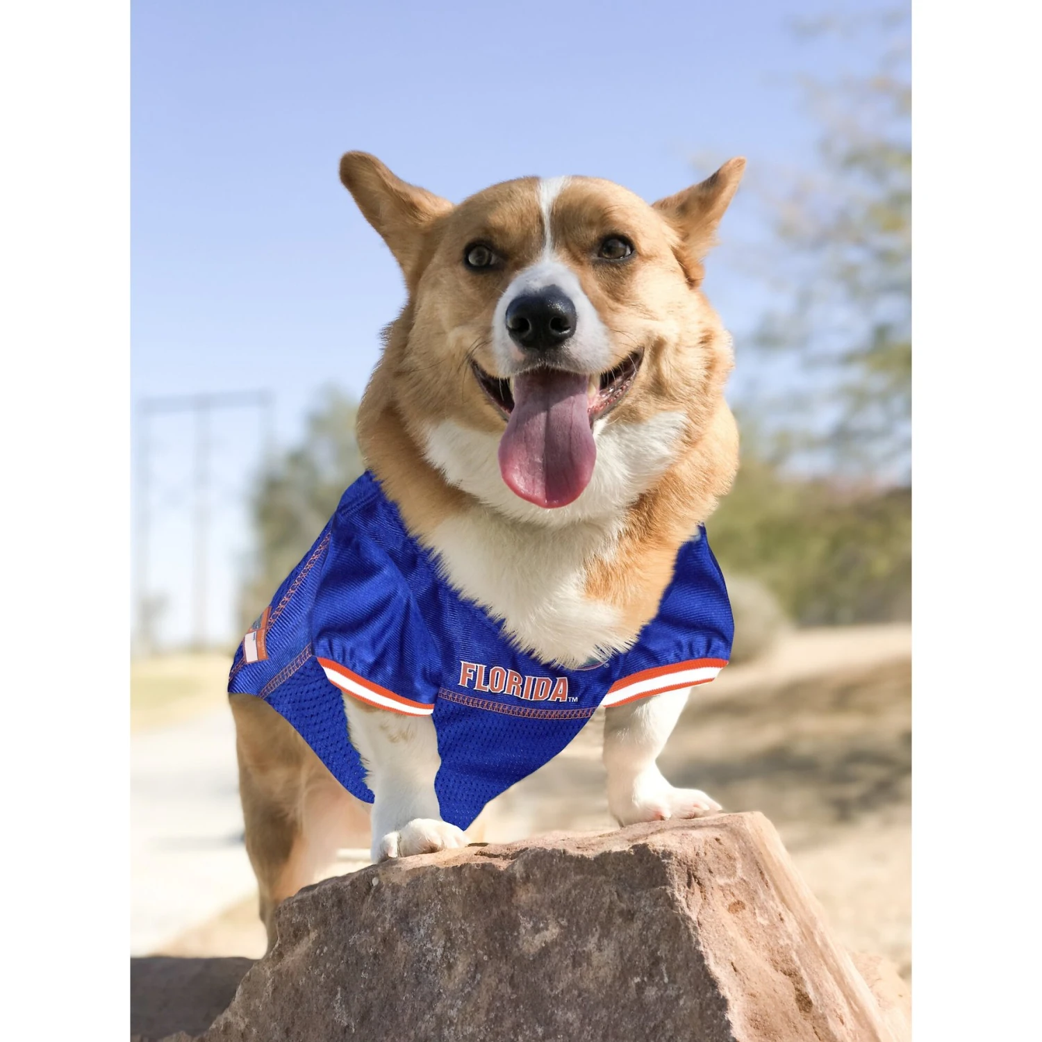 Pets First NCAA Dog & Cat Jersey, Florida Gators 7 Pets First NCAA Dog & Cat Jersey, Florida Gators - Image 5