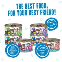 BFF OMG Rainbow Road Variety Pack Grain-Free Canned Cat Food -Blue Buffalo Shop 142309 PT4. AC SS1800 V1646854352