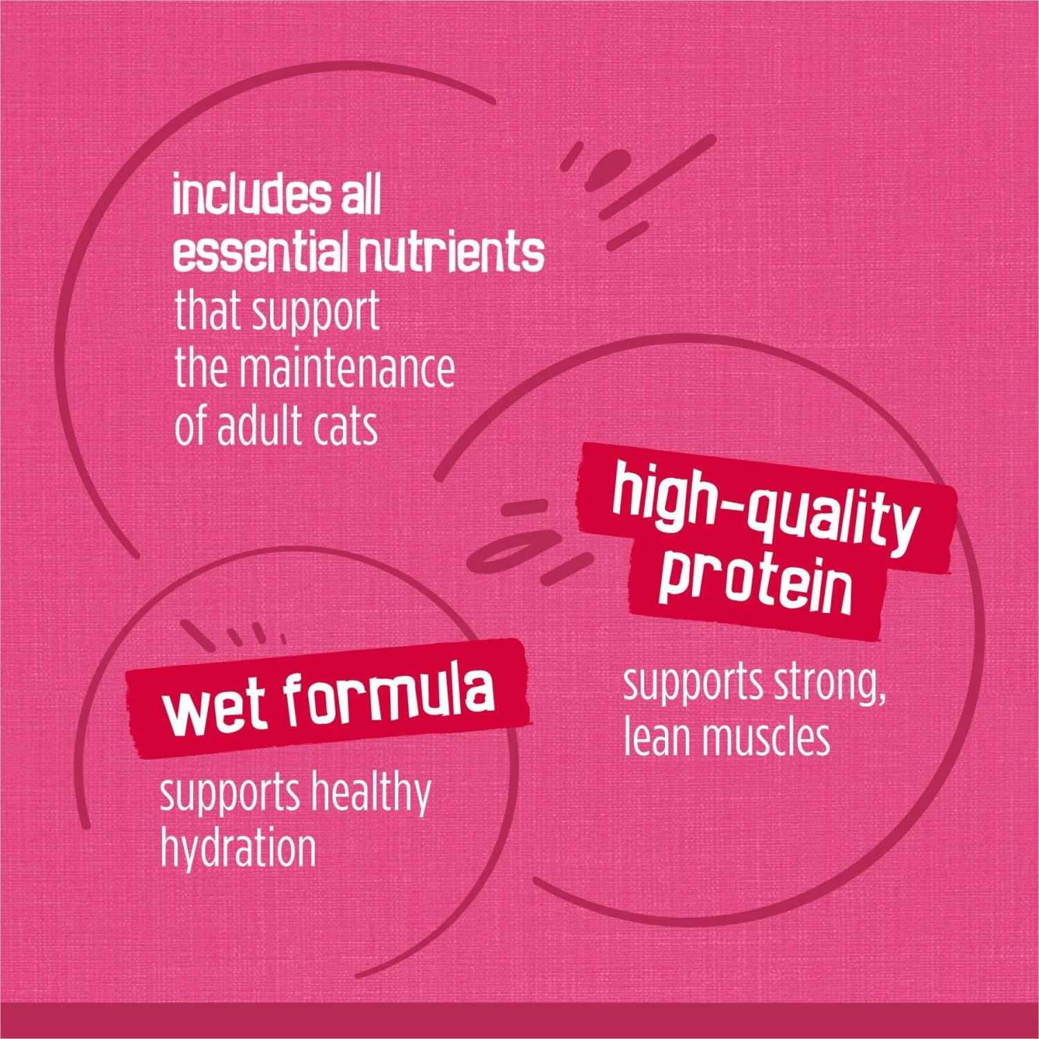 Friskies Surfin' & Turfin' Favorites Variety Pack Canned Cat Food 10 Friskies Surfin' & Turfin' Favorites Variety Pack Canned Cat Food - Image 8