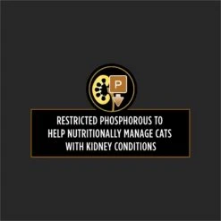 Purina Pro Plan Veterinary Diets NF Kidney Function Early Care Wet Cat Food 13 Purina Pro Plan Veterinary Diets NF Kidney Function Early Care Wet Cat Food -Blue Buffalo Shop 142664 PT2. AC SS1800 V1700157924