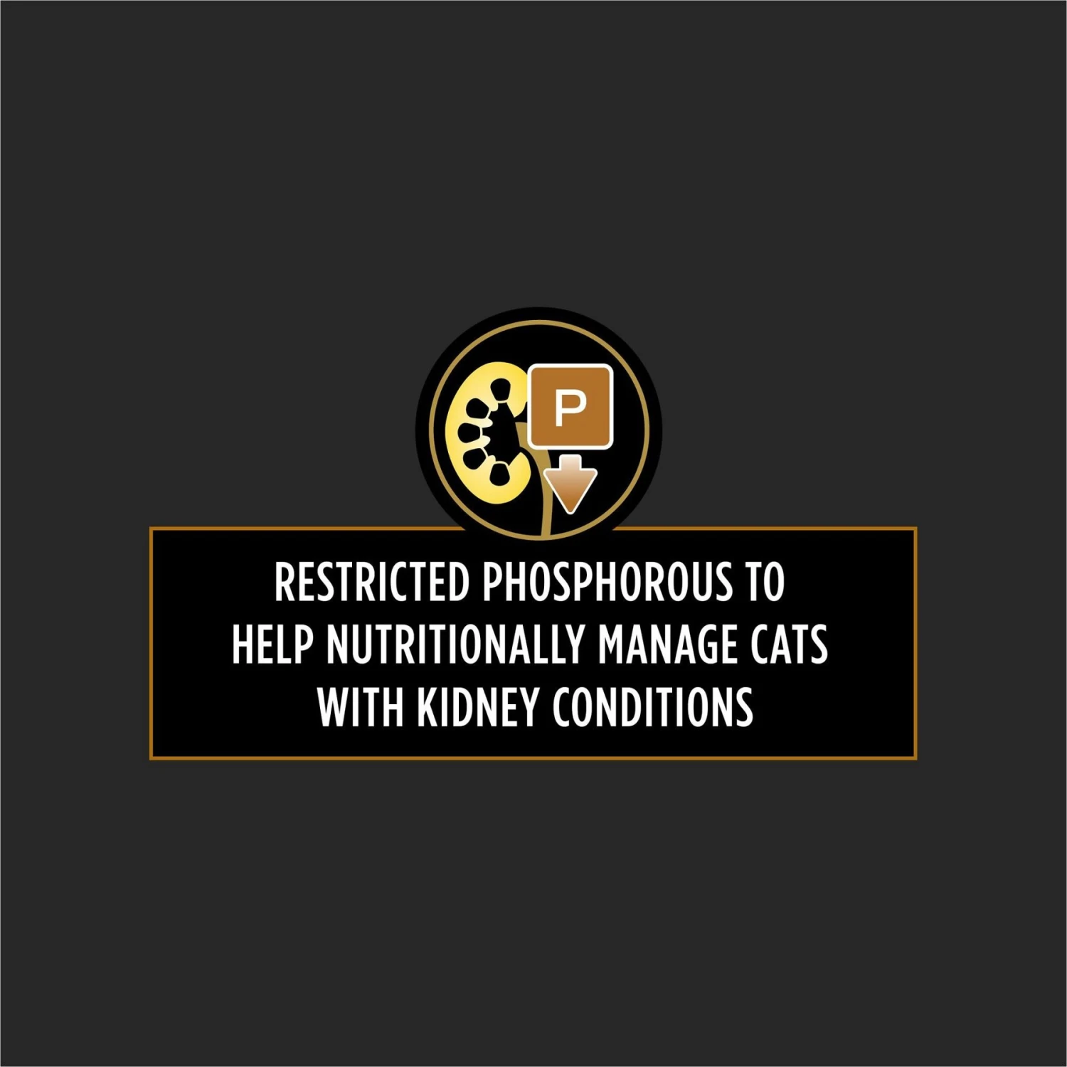 Purina Pro Plan Veterinary Diets NF Kidney Function Early Care Wet Cat Food 5 Purina Pro Plan Veterinary Diets NF Kidney Function Early Care Wet Cat Food - Image 3