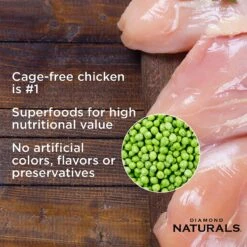 Diamond Naturals Chicken Dinner Adult & Kitten Canned Cat Food -Blue Buffalo Shop 143232 PT3. AC SS1800 V1520030896