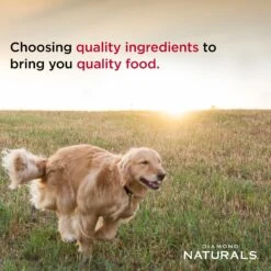 Diamond Naturals Skin & Coat Formula All Life Stages Dry Dog Food -Blue Buffalo Shop 143237 PT4. AC SS1800 V1635735731