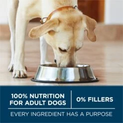 Purina ONE Natural Large Breed +Plus Formula Dry Dog Food 16 Purina ONE Natural Large Breed +Plus Formula Dry Dog Food -Blue Buffalo Shop 143261 PT5. AC SS1800 V1676317831