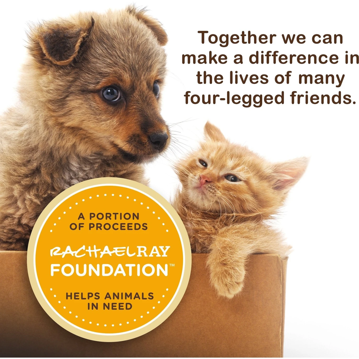 Rachael Ray Nutrish Purrfect Broths All Natural Grain-Free Tasty Tuna Recipe Cat Food Topper 7 Rachael Ray Nutrish Purrfect Broths All Natural Grain-Free Tasty Tuna Recipe Cat Food Topper - Image 5