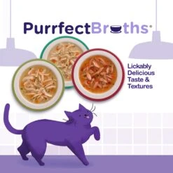 Rachael Ray Nutrish Purrfect Broths All Natural Grain-Free Variety Pack Cat Food Topper 16 Rachael Ray Nutrish Purrfect Broths All Natural Grain-Free Variety Pack Cat Food Topper -Blue Buffalo Shop 143738 PT5. AC SS1800 V1657655546