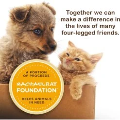 Rachael Ray Nutrish Purrfect Broths All Natural Grain-Free Variety Pack Cat Food Topper 17 Rachael Ray Nutrish Purrfect Broths All Natural Grain-Free Variety Pack Cat Food Topper -Blue Buffalo Shop 143738 PT6. AC SS1800 V1657655546