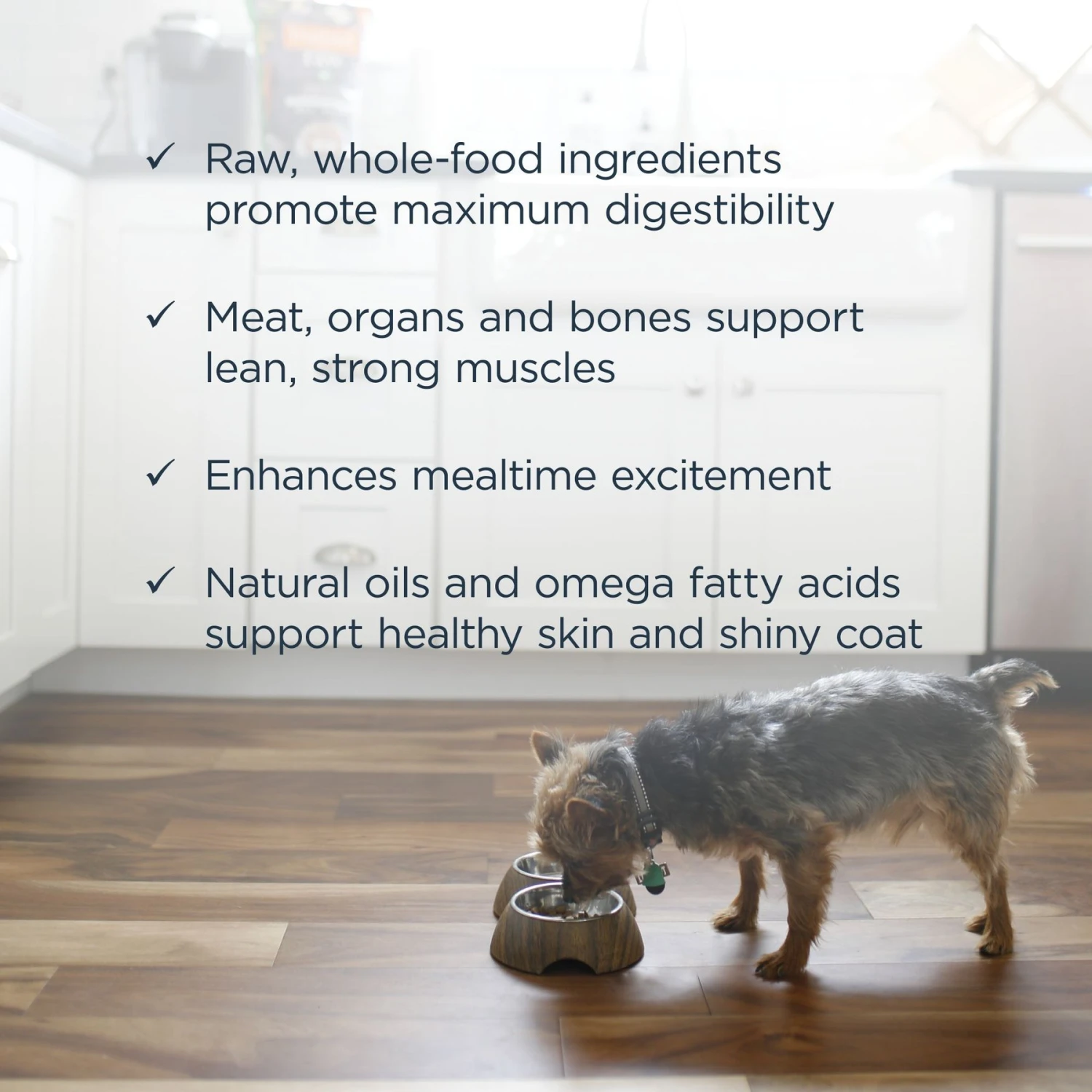 Instinct Frozen Raw Bites Grain-Free Real Beef Recipe Dog Food 7 Instinct Frozen Raw Bites Grain-Free Real Beef Recipe Dog Food - Image 5