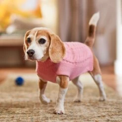 Frisco Dog & Cat Cable Knitted Sweater -Blue Buffalo Shop 144254 PT5. AC SS1800 V1541456525