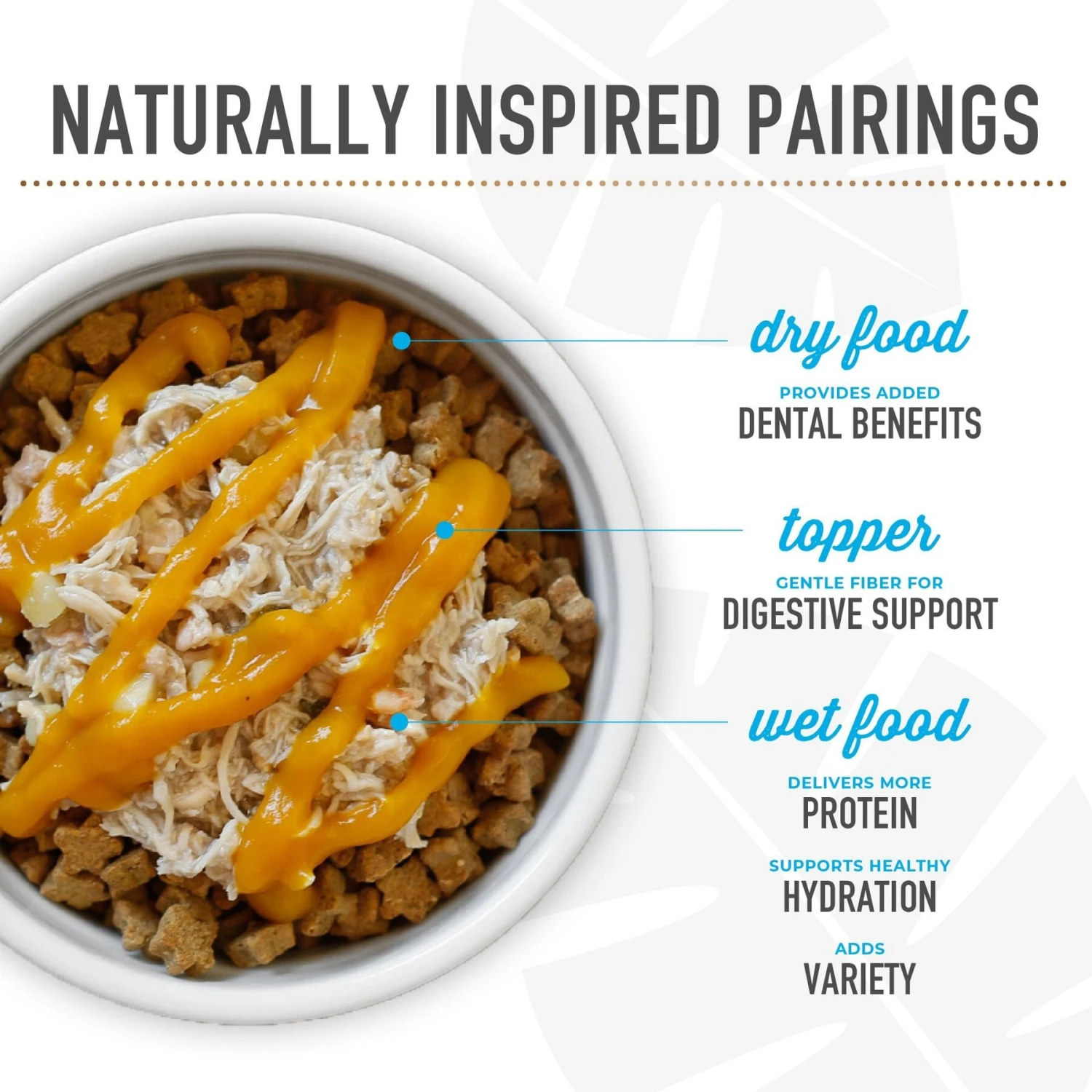 Tiki Dog Born Carnivore Flavor Booster Tuna Bisque Non-GMO Wet Dog Food Topper 11 Tiki Dog Born Carnivore Flavor Booster Tuna Bisque Non-GMO Wet Dog Food Topper - Image 9