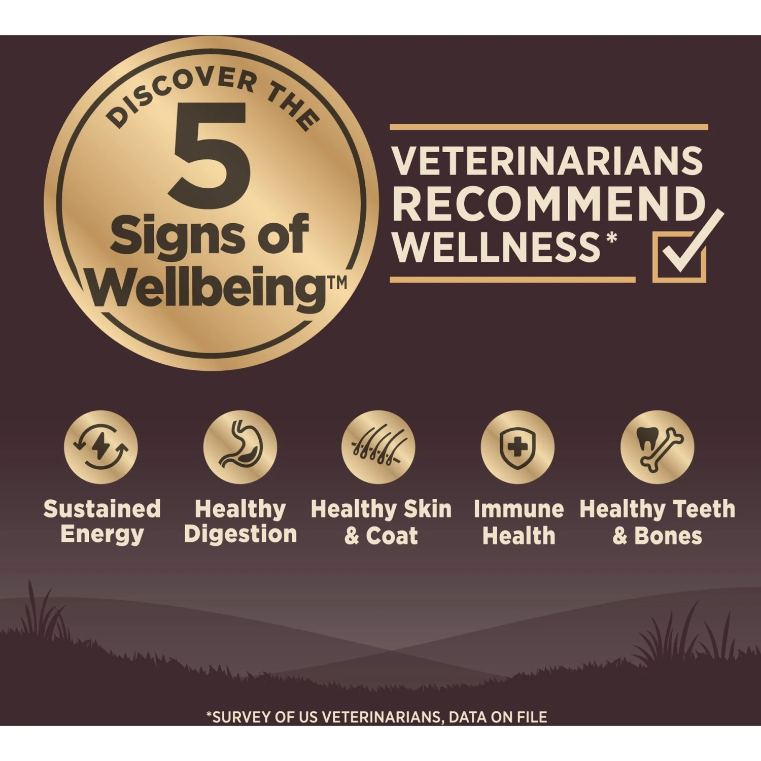 Wellness CORE Grain-Free Small Breed Puppy Deboned Turkey Recipe Dry Dog Food 6 Wellness CORE Grain-Free Small Breed Puppy Deboned Turkey Recipe Dry Dog Food - Image 4