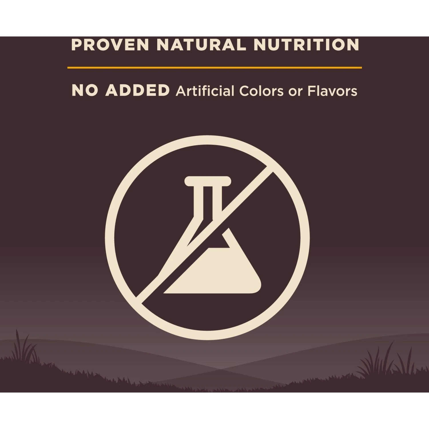 Wellness CORE Grain-Free Small Breed Puppy Deboned Turkey Recipe Dry Dog Food 8 Wellness CORE Grain-Free Small Breed Puppy Deboned Turkey Recipe Dry Dog Food - Image 6