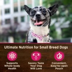 Wellness CORE Grain-Free Small Breed Mini Meals Shredded Chicken & Lamb In Gravy Dog Food Pouches 13 Wellness CORE Grain-Free Small Breed Mini Meals Shredded Chicken & Lamb In Gravy Dog Food Pouches -Blue Buffalo Shop 145504 PT2. AC SS1800 V1611763310