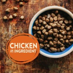 Wellness CORE Grain-Free Large Breed Puppy Deboned Chicken Recipe Dry Dog Food -Blue Buffalo Shop 145527 PT3. AC SS1800 V1611274636