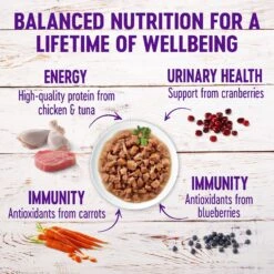 Wellness Healthy Indulgence Morsels Grain-Free Variety Pack Cat Food Pouches 13 Wellness Healthy Indulgence Morsels Grain-Free Variety Pack Cat Food Pouches -Blue Buffalo Shop 145537 PT3. AC SS1800 V1621986812