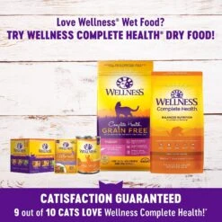 Wellness Healthy Indulgence Morsels Grain-Free Variety Pack Cat Food Pouches 14 Wellness Healthy Indulgence Morsels Grain-Free Variety Pack Cat Food Pouches -Blue Buffalo Shop 145537 PT4. AC SS1800 V1621987972