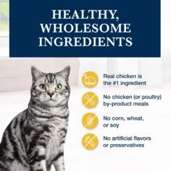 Blue Buffalo Natural Veterinary Diet K+M Kidney + Mobility Support Grain-Free Dry Cat Food -Blue Buffalo Shop 147676 PT5. AC SS1800 V1703091265