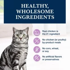 Blue Buffalo Natural Veterinary Diet W+U Weight Management + Urinary Care Grain-Free Dry Cat Food -Blue Buffalo Shop 147682 PT5. AC SS1800 V1703091386
