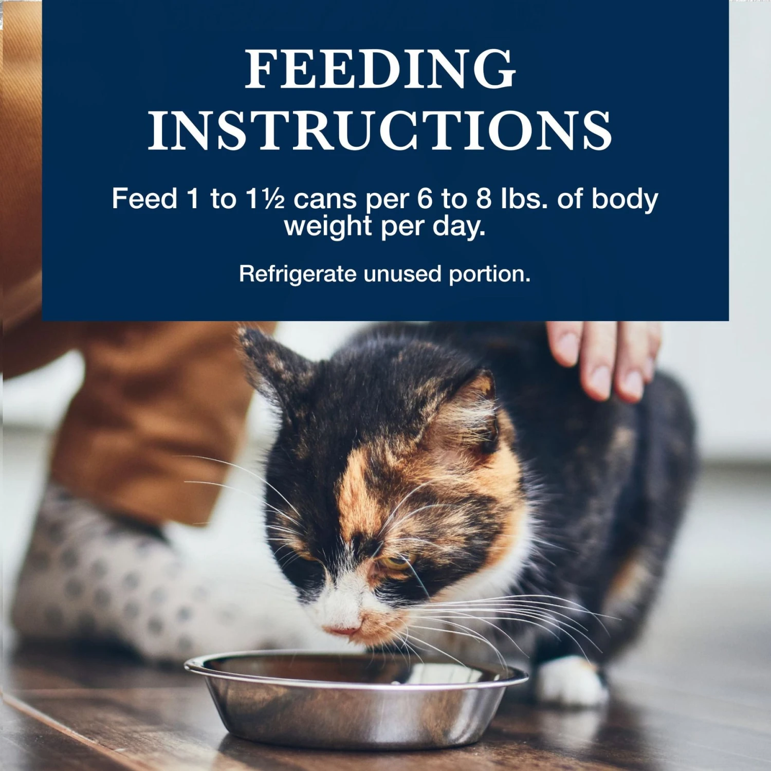 Blue Buffalo Natural Veterinary Diet K+M Kidney + Mobility Support Grain-Free Wet Cat Food 10 Blue Buffalo Natural Veterinary Diet K+M Kidney + Mobility Support Grain-Free Wet Cat Food - Image 8
