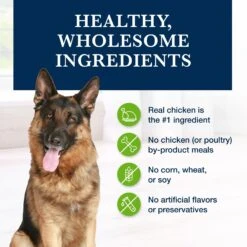 Blue Buffalo Natural Veterinary Diet GI Gastrointestinal Support Grain-Free Wet Dog Food -Blue Buffalo Shop 147692 PT5. AC SS1800 V1695083988