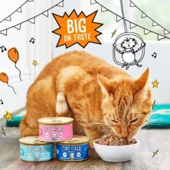 Tiny Tiger Chunks In Gravy Salmon & Whitefish Recipe Grain-Free Canned Cat Food 14 Tiny Tiger Chunks In Gravy Salmon & Whitefish Recipe Grain-Free Canned Cat Food -Blue Buffalo Shop 147758 PT4. AC SS1800 V1687284456