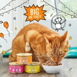 Tiny Tiger Chunks In EXTRA Gravy Chicken Recipe Grain-Free Canned Cat Food 14 Tiny Tiger Chunks In EXTRA Gravy Chicken Recipe Grain-Free Canned Cat Food -Blue Buffalo Shop 147780 PT4. AC SS1800 V1687284409