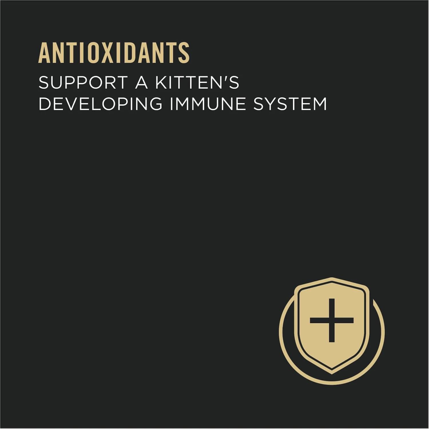 Purina Pro Plan Classic Chicken Grain-Free Kitten Entree Canned Cat Food 6 Purina Pro Plan Classic Chicken Grain-Free Kitten Entree Canned Cat Food - Image 4