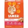Iams ProActive Health Salmon Recipe Adult Dry Cat Food 1 Iams ProActive Health Salmon Recipe Adult Dry Cat Food -Blue Buffalo Shop 148007 MAIN. AC SS1800 V1609979260