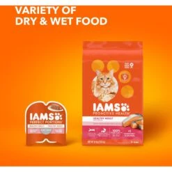 Iams ProActive Health Salmon Recipe Adult Dry Cat Food -Blue Buffalo Shop 148007 PT8. AC SS1800 V1609949868