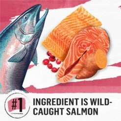 Purina Beyond Simply Indoor Wild-Caught Salmon, Egg & Sweet Potato Recipe Grain-Free Dry Cat Food -Blue Buffalo Shop 148008 PT3. AC SS1800 V1700158453