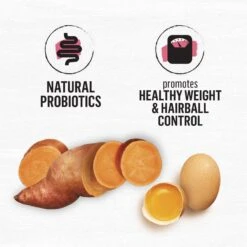 Purina Beyond Simply Indoor Wild-Caught Salmon, Egg & Sweet Potato Recipe Grain-Free Dry Cat Food -Blue Buffalo Shop 148008 PT4. AC SS1800 V1700159218