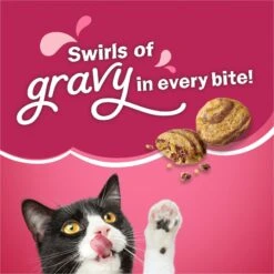 Friskies Gravy Swirlers Chicken & Salmon Flavor Dry Cat Food -Blue Buffalo Shop 148060 PT3. AC SS1800 V1700156231