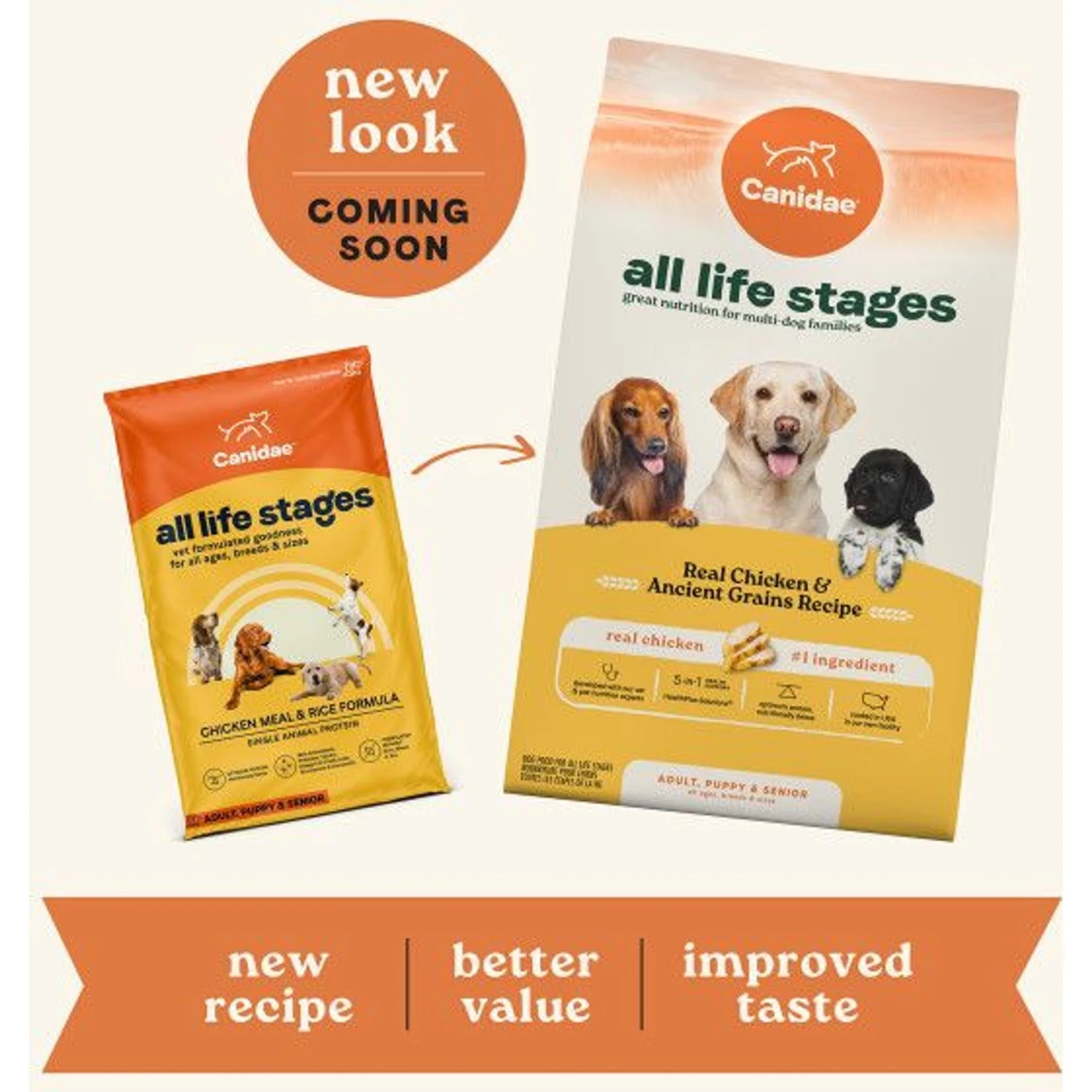 CANIDAE All Life Stages Chicken Meal & Rice Formula Dry Dog Food 4 CANIDAE All Life Stages Chicken Meal & Rice Formula Dry Dog Food - Image 2