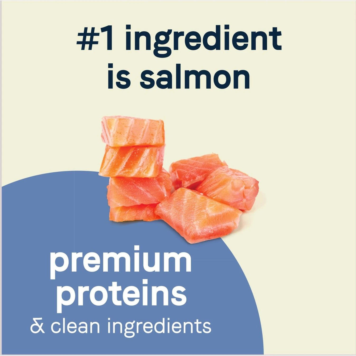 CANIDAE Grain-Free PURE Petite Salmon Formula Small Breed Puppy Limited Ingredient Freeze-Dried Raw Coated Dry Dog Food 6 CANIDAE Grain-Free PURE Petite Salmon Formula Small Breed Puppy Limited Ingredient Freeze-Dried Raw Coated Dry Dog Food - Image 4