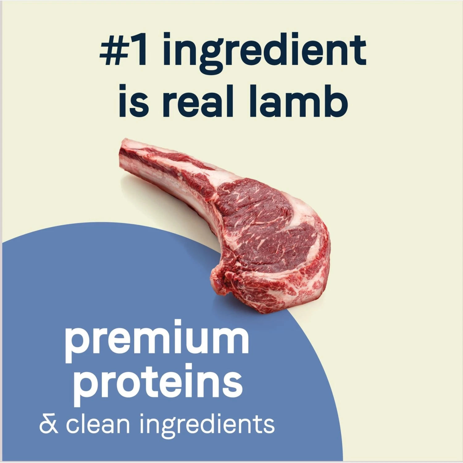 CANIDAE PURE Petite Adult Small Breed Grain-Free With Lamb Dry Dog Food 6 CANIDAE PURE Petite Adult Small Breed Grain-Free With Lamb Dry Dog Food - Image 4