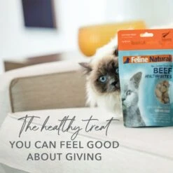 Feline Natural Beef Healthy Bites Grain-Free Freeze-Dried Cat Treats, 1.76-oz Bag 14 Feline Natural Beef Healthy Bites Grain-Free Freeze-Dried Cat Treats, 1.76-oz Bag -Blue Buffalo Shop 149476 PT3. AC SS1800 V1693237090