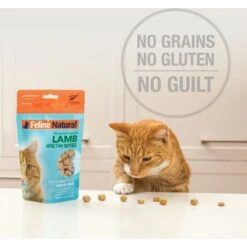 Feline Natural Chicken Healthy Bites Grain-Free Freeze-Dried Cat Treats, 1.76-oz Bag 15 Feline Natural Chicken Healthy Bites Grain-Free Freeze-Dried Cat Treats, 1.76-oz Bag -Blue Buffalo Shop 149478 PT4. AC SS1800 V1693237202