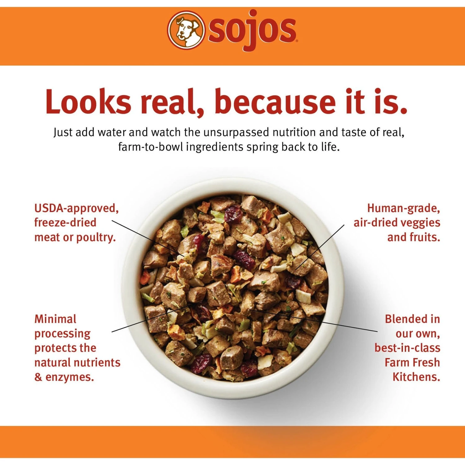Sojos Complete Chicken Recipe Adult Freeze-Dried Grain-Free Raw Dog Food 4 Sojos Complete Chicken Recipe Adult Freeze-Dried Grain-Free Raw Dog Food - Image 2