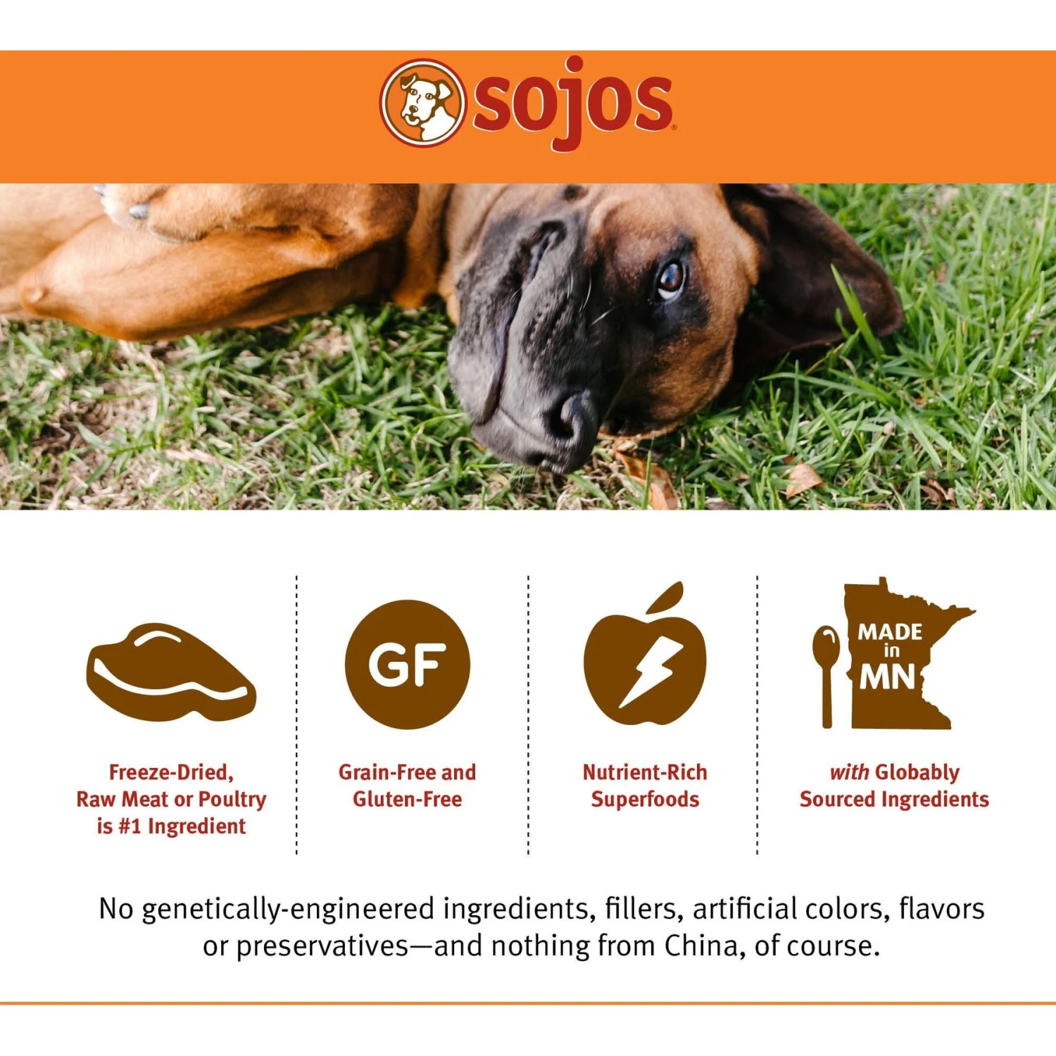Sojos Complete Chicken Recipe Adult Freeze-Dried Grain-Free Raw Dog Food 7 Sojos Complete Chicken Recipe Adult Freeze-Dried Grain-Free Raw Dog Food - Image 5