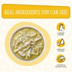 Weruva Cats In The Kitchen Pumpkin Lickin' Chicken In Pumpkin Soup Grain-Free Cat Food Pouches -Blue Buffalo Shop 149771 PT4. AC SS1800 V1700860156