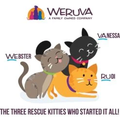 Weruva Cats In The Kitchen Pumpkin Lickin' Chicken In Pumpkin Soup Grain-Free Cat Food Pouches -Blue Buffalo Shop 149771 PT7. AC SS1800 V1700860156