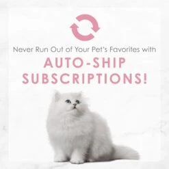 Fancy Feast Kitten Tender Chicken Feast Canned Cat Food -Blue Buffalo Shop 149824 PT8. AC SS1800 V1691417482