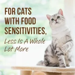 Merrick Limited Ingredient Diet Grain-Free Turkey Canned Cat Food -Blue Buffalo Shop 150391 PT6. AC SS1800 V1696265921